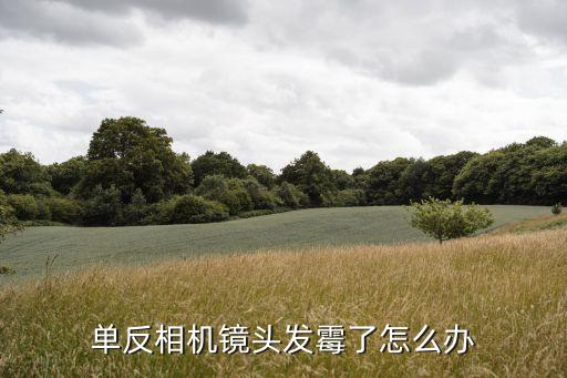 單反相機鏡頭發霉了怎么辦