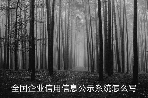 全國企業(yè)信用信息公示系統(tǒng)怎么寫