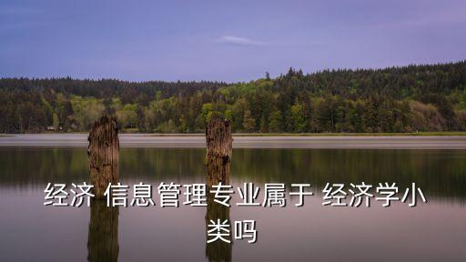  經(jīng)濟(jì) 信息管理專業(yè)屬于 經(jīng)濟(jì)學(xué)小類嗎