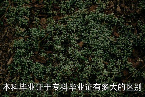 本科畢業證于專科畢業證有多大的區別
