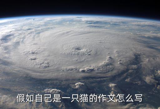 假如自己是一只貓的作文怎么寫