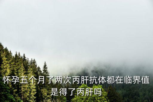 劉鐵夫 上海市公共衛(wèi)生臨床中心，支氣管鏡查出抗酸桿菌是否能確診為肺結(jié)核