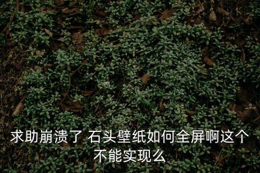 求助崩潰了 石頭壁紙如何全屏啊這個不能實現么