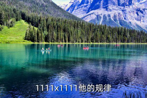 1111x1111他的規律