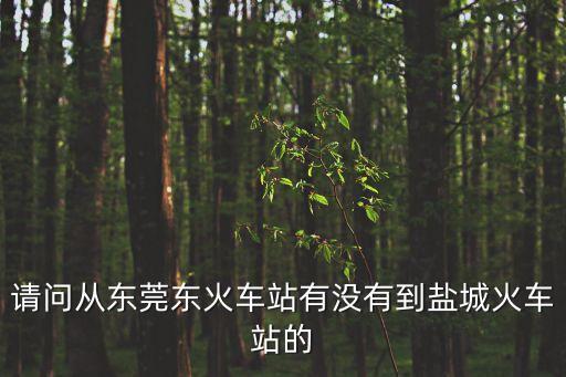 請(qǐng)問(wèn)從東莞東火車(chē)站有沒(méi)有到鹽城火車(chē)站的