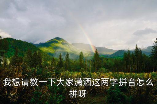 xiaosa，瀟灑男人的拼音是什么