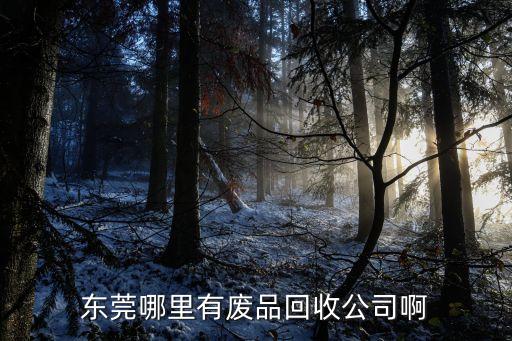 東莞固廢物處理，東莞市固體廢棄物污染環境防治規定最新版本是哪年