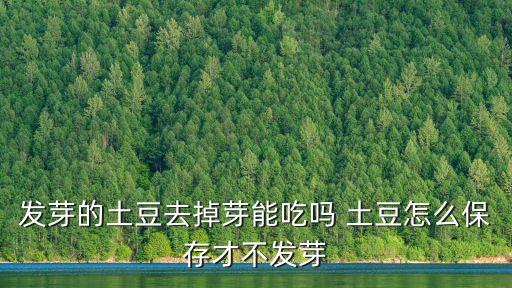 發(fā)芽的土豆去掉芽能吃嗎 土豆怎么保存才不發(fā)芽