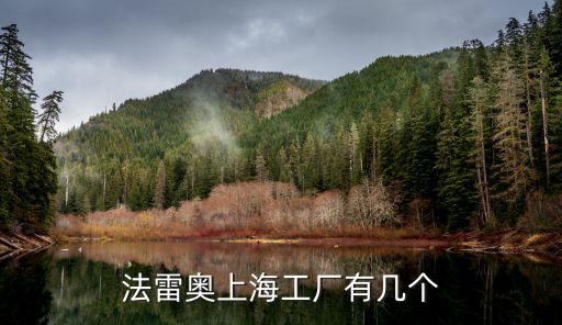法雷奧上海工廠有幾個