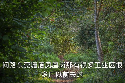 東莞鳳凰崗分部，廣東省東莞市鳳崗鎮金鳳凰大道金鳳凰工業區郵編