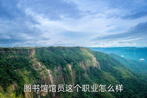 圖書館館員這個(gè)職業(yè)怎么樣
