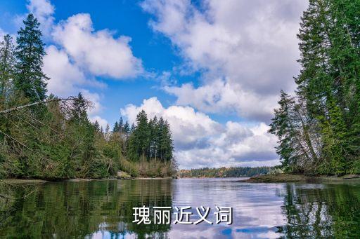 瑰麗,疫情期間的中國春節(jié)更加璀璨奪目