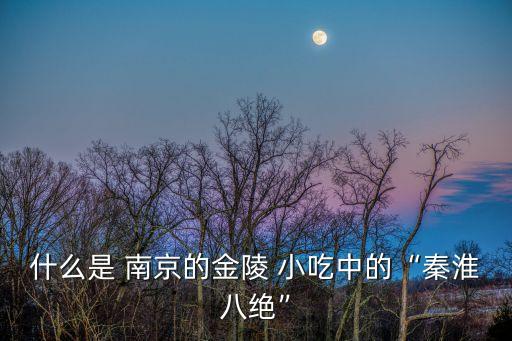 什么是 南京的金陵 小吃中的“秦淮八絕”