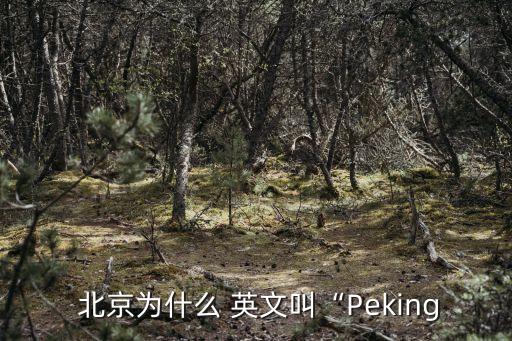 北京烤鴨的英文,北京烤鴨n.京烤肉的相關(guān)信息