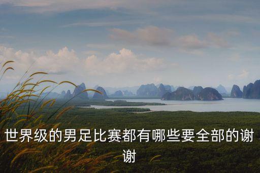 世界級的男足比賽都有哪些要全部的謝謝