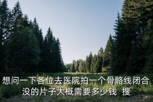 想問一下各位去醫院拍一個骨骼線閉合沒的片子大概需要多少錢  搜