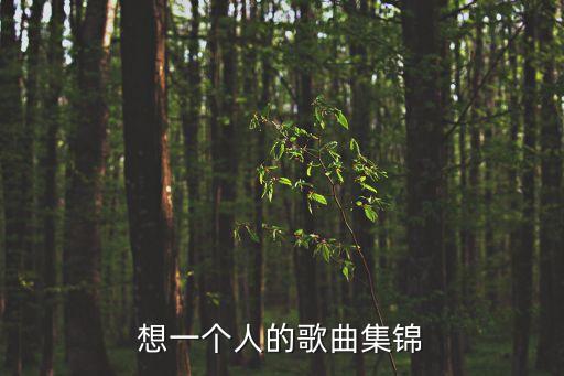 想念一個(gè)人的歌曲，有沒有關(guān)于想念一個(gè)人的歌曲