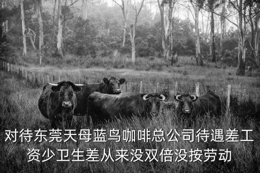 東莞石龍天母藍鳥，東莞市黃江鎮的天母藍鳥西餐廳還在營業嗎很久沒去了假期打算去