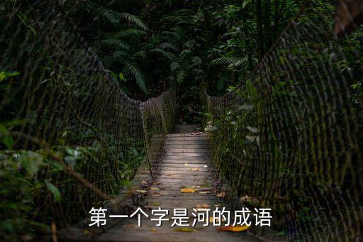 第一個(gè)字是河的成語