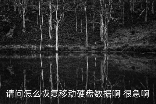 請問怎么恢復移動硬盤數據啊 很急啊
