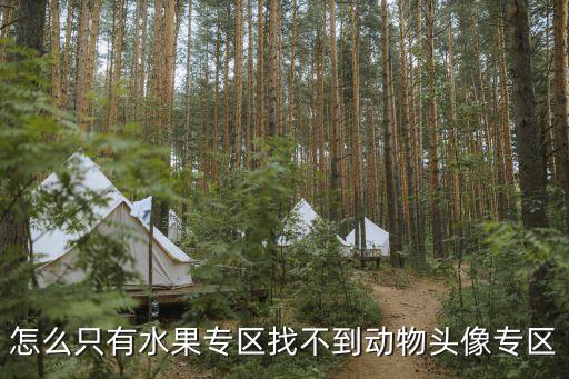 怎么只有水果專區找不到動物頭像專區