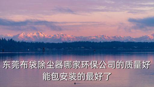 東莞布袋除塵器哪家環保公司的質量好能包安裝的最好了