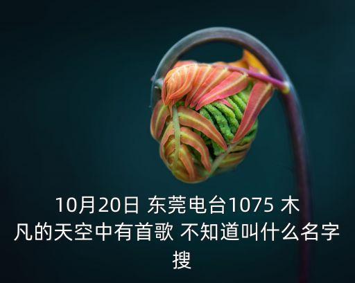 東莞電臺 木凡，10月20日 東莞電臺1075 木凡的天空中有首歌 不知道叫什么名字  搜