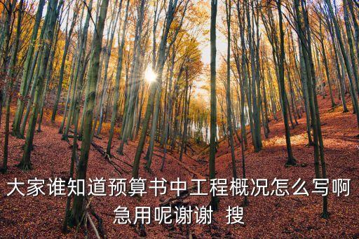 大家誰知道預算書中工程概況怎么寫啊急用呢謝謝  搜
