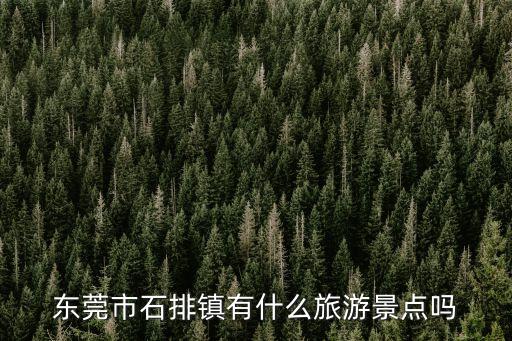 東莞市石排鎮有什么旅游景點嗎