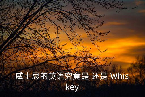 威士忌的英文，威士忌的英語(yǔ)究竟是 還是 Whiskey