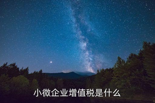 小微企業增值稅是什么