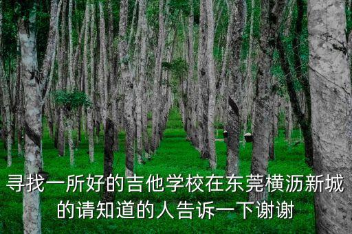 尋找一所好的吉他學校在東莞橫瀝新城的請知道的人告訴一下謝謝