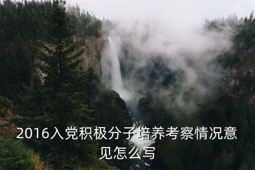 積極分子培養考察意見，2016入黨積極分子培養考察情況意見怎么寫