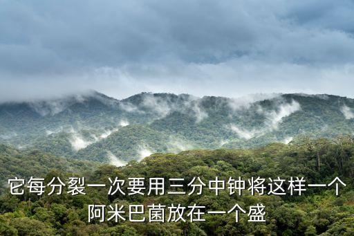 它每分裂一次要用三分中鐘將這樣一個(gè)阿米巴菌放在一個(gè)盛