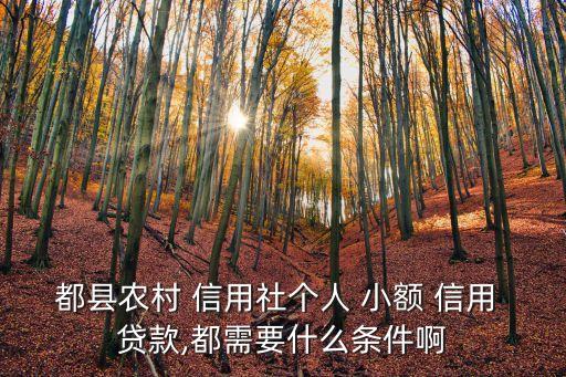 都縣農(nóng)村 信用社個(gè)人 小額 信用 貸款,都需要什么條件啊