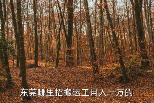 東莞天輝物流有限公司怎么樣，東莞哪里招搬運工月入一萬的