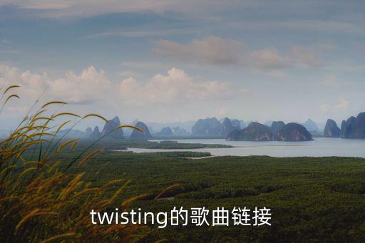 twisting的歌曲鏈接