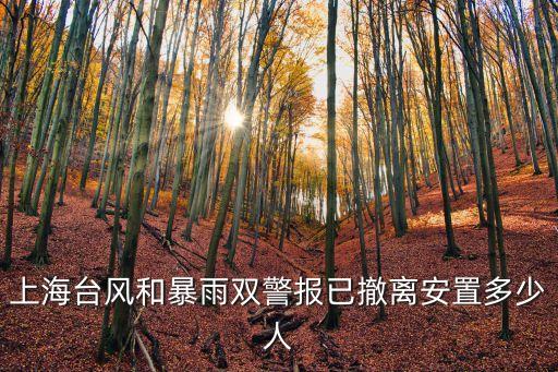 上海臺風(fēng)和暴雨雙警報已撤離安置多少人