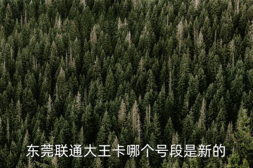 東莞聯通大王卡哪個號段是新的