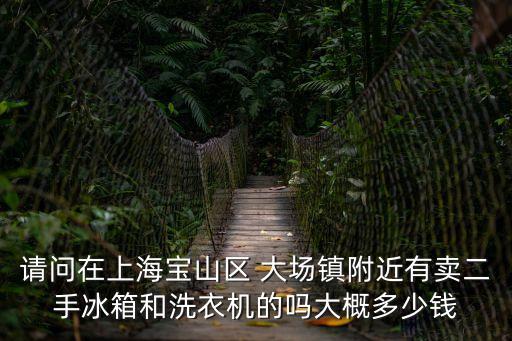 請問在上海寶山區(qū) 大場鎮(zhèn)附近有賣二手冰箱和洗衣機的嗎大概多少錢