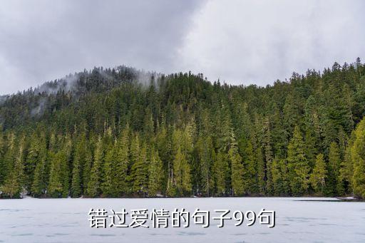 錯(cuò)過愛情的句子99句