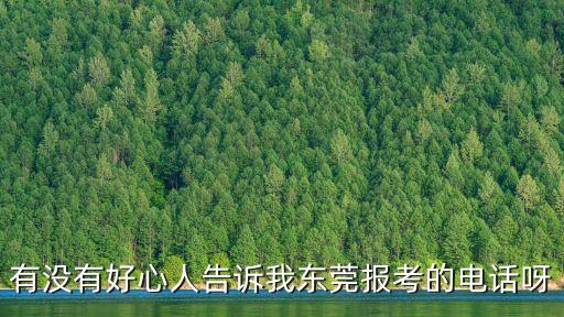 有沒有好心人告訴我東莞報(bào)考的電話呀