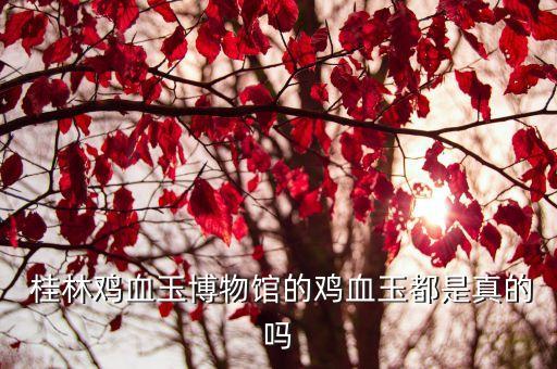 桂林雞血石,廣義桂林雞血玉:產于北坡南坡沒有砂眼深埋地下
