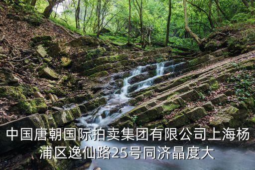 上海市逸仙路古建筑，中國唐朝國際拍賣集團有限公司上海楊浦區逸仙路25號同濟晶度大
