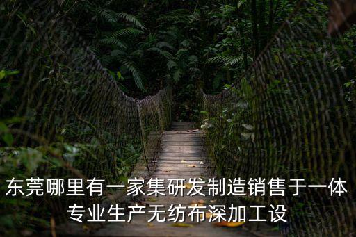 東莞哪里有一家集研發制造銷售于一體專業生產無紡布深加工設