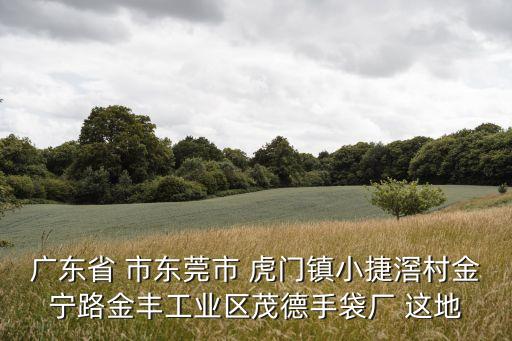 廣東省 市東莞市 虎門鎮小捷滘村金寧路金豐工業區茂德手袋廠 這地