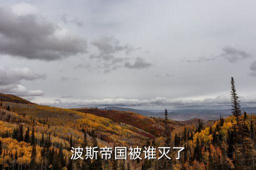 波斯帝國被誰滅了