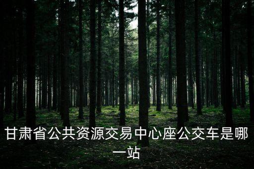 甘肅省公共資源交易中心座公交車(chē)是哪一站