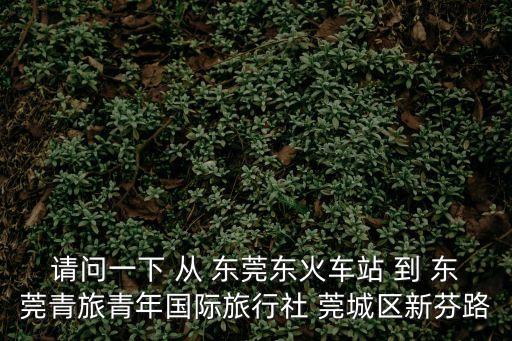 請問一下 從 東莞東火車站 到 東莞青旅青年國際旅行社 莞城區新芬路