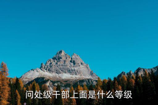 問處級干部上面是什么等級